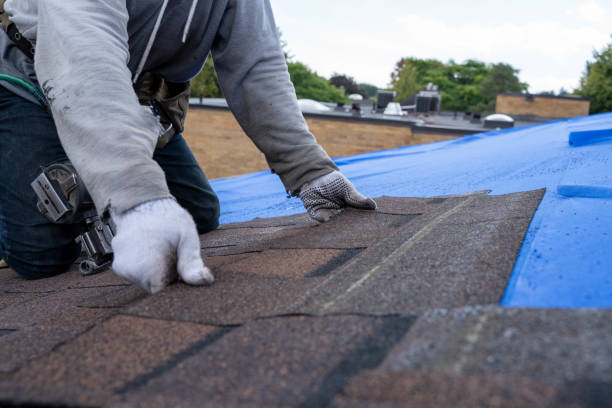 Best Roof Restoration Services  in Foley, MN