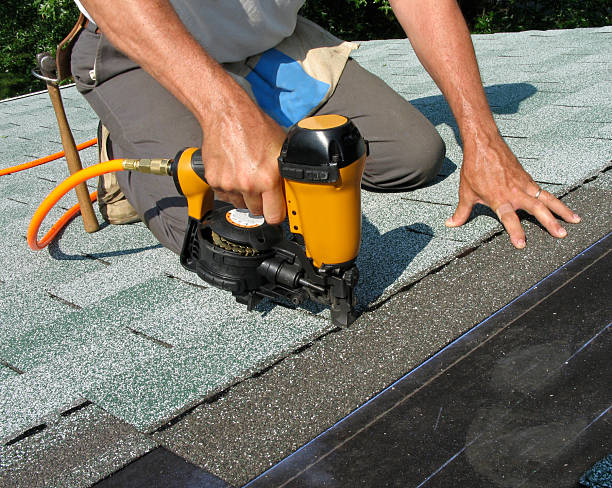 Best Local Roofing Companies  in Foley, MN