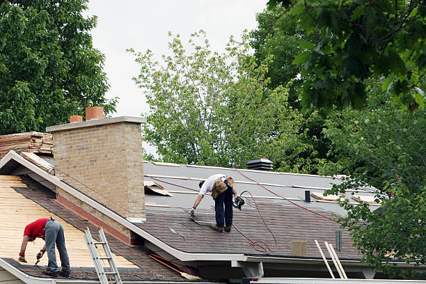 Best Roof Repair Services  in Foley, MN