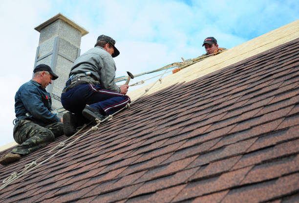 Gutter Installation and Roofing in Foley, MN